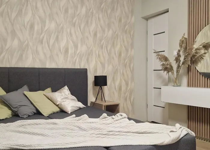 招待所 Port 库瑞尼卡慕斯卡